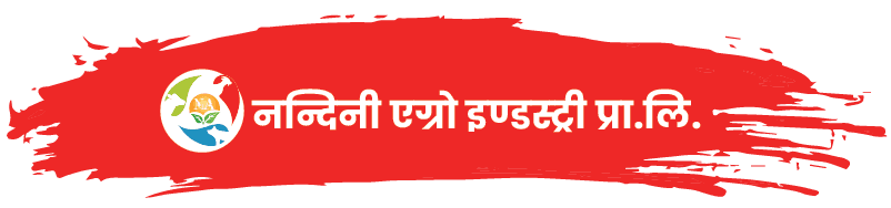 Nandani Agro Industries Pvt. Ltd. Logo